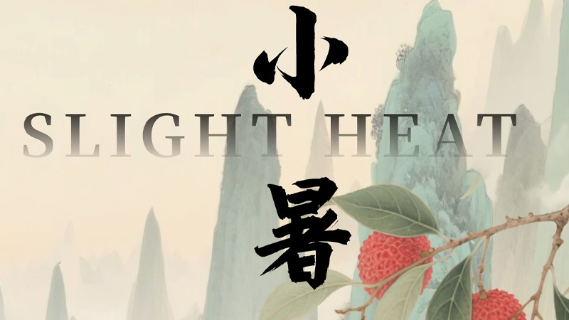 硬盘盒与小暑：科技与自然的和谐交响
