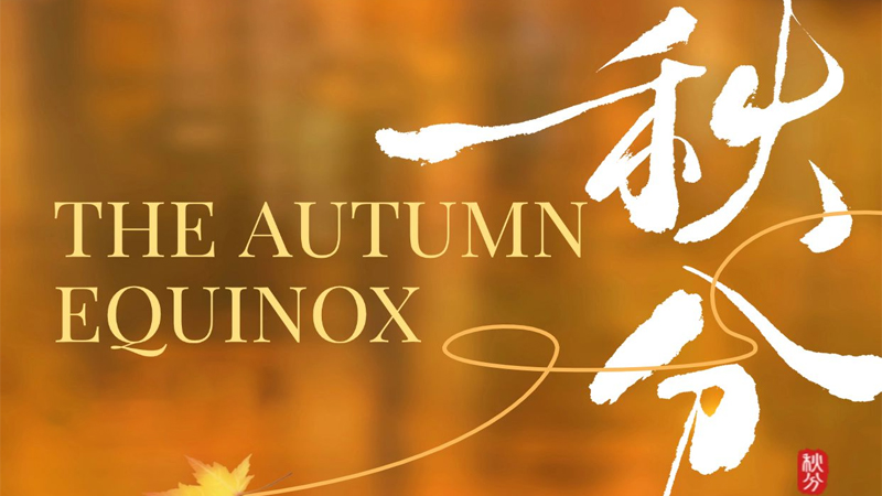 HDD Mobile Rack Enclosures and the Autumnal Equinox: The "Archiving" and "Protection" of HDD Mobile Rack Enclosures