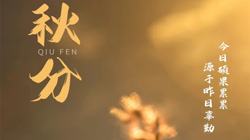 硬盘盒与秋分，硬盘盒的“归档”与“守护”
