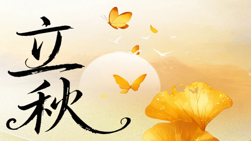 硬盘盒与立秋，科技与传统的和鸣