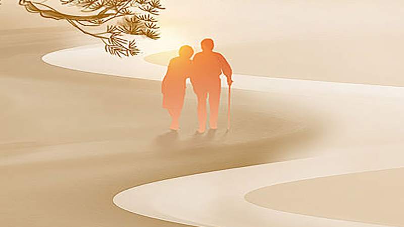 重阳节与硬盘盒：科技里的“温情守护”