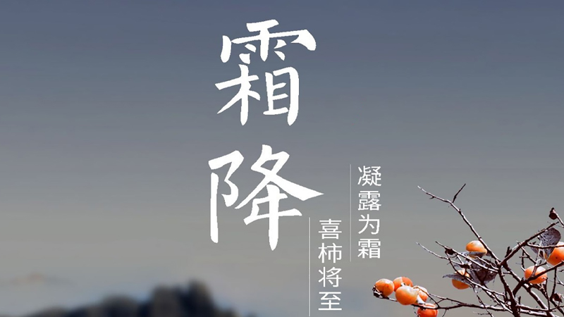 数据金秋的沉淀仪式：当硬盘盒邂逅霜降