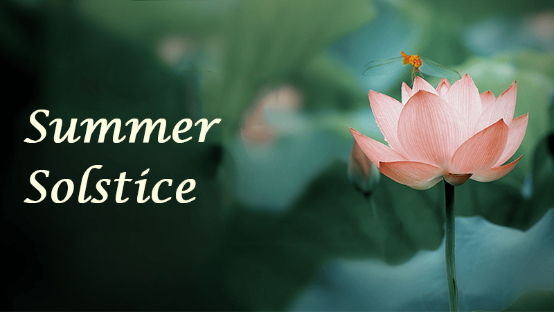 HDD Mobile Rack Enclosures and the Summer Solstice: A Harmonious Resonance of Technology and Nature