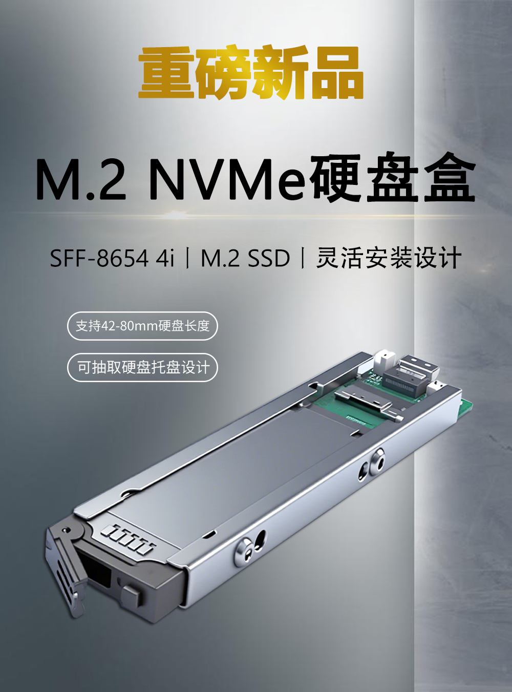 1 x M.2 NVMe SSD PCIe 4.0硬盘抽取盒