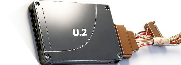 U.2 NVMe硬盘抽取盒产品图 - 展示企业级服务器硬盘插槽设计